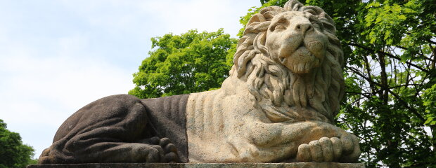 "Halbzeit" bei der Reinigung der Löwenstatue. "Halbzeit" bei der Reinigung der Löwenstatue.