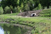 Das Regenrückhaltebecken ist als Laichgewässer beliebt. Einer der vier neuen Amphibiendurchlässe wurde daher in unmittelbarer Nähe eingebaut.