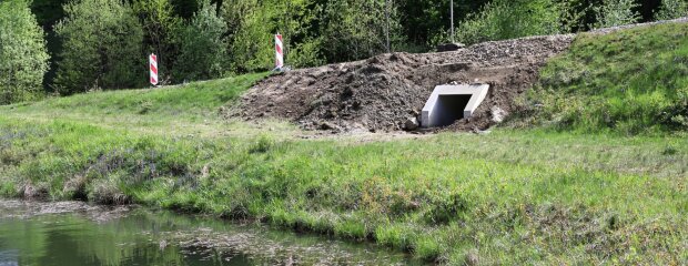 Das Regenrückhaltebecken ist als Laichgewässer beliebt. Einer der vier neuen Amphibiendurchlässe wurde daher in unmittelbarer Nähe eingebaut. Das Regenrückhaltebecken ist als Laichgewässer beliebt. Einer der vier neuen Amphibiendurchlässe wurde daher in unmittelbarer Nähe eingebaut.