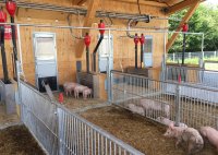 Der nach den Empfehlungen des Bayerischen Landesamtes für Landwirtschaft gestaltete neue Ferkelaufzuchtstall erfüllt die Anforderungen an eine artgerechte Unterbringung der Jungtiere.