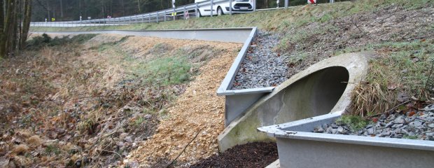 Der Amphibienschutzzaun lenkt die Kröten bei ihrer Wanderung in zwei Durchlässe, so dass sie ungefährdet die Staatsstraße 2110 unterqueren können. Der Amphibienschutzzaun lenkt die Kröten bei ihrer Wanderung in zwei Durchlässe, so dass sie ungefährdet die Staatsstraße 2110 unterqueren können.