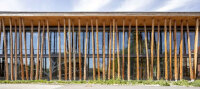 Die Südfassade des NAWAREUM mit freistehenden Holzstämmen als Gestaltungselement