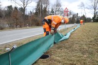 Oberhalb der Staatsstraße 2319 bei Kellberg haben die Mitarbeiter der Straßenmeisterei Hauzenberg Amphibienschutzzäune errichtet. Matthias Plankl zieht die Schutzplane straff, entlang der die Kröten zu den im Boden vergrabenen Eimern geleitet werden.