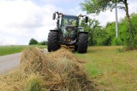 Das Mähgut wird einen Tag liegengelassen, um den Insekten Zeit zum Umzug zu geben. Erst dann wird es abtransportiert. Das Mähgut wird einen Tag liegengelassen, um den Insekten Zeit zum Umzug zu geben. Erst dann wird es abtransportiert.