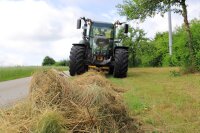 Das Mähgut wird einen Tag liegengelassen, um den Insekten Zeit zum Umzug zu geben. Erst dann wird es abtransportiert.