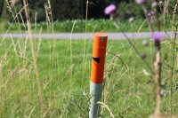 Die Lage der Auswahlflächen wird mit orangefarbenen Pflöcken gekennzeichnet. Die Lage der Auswahlflächen wird mit orangefarbenen Pflöcken gekennzeichnet.