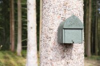 50 Nistkästen sowie 50 Haselmaustubes wurden im Wald bei Schweinhütt angebracht. 50 Nistkästen sowie 50 Haselmaustubes wurden im Wald bei Schweinhütt angebracht.
